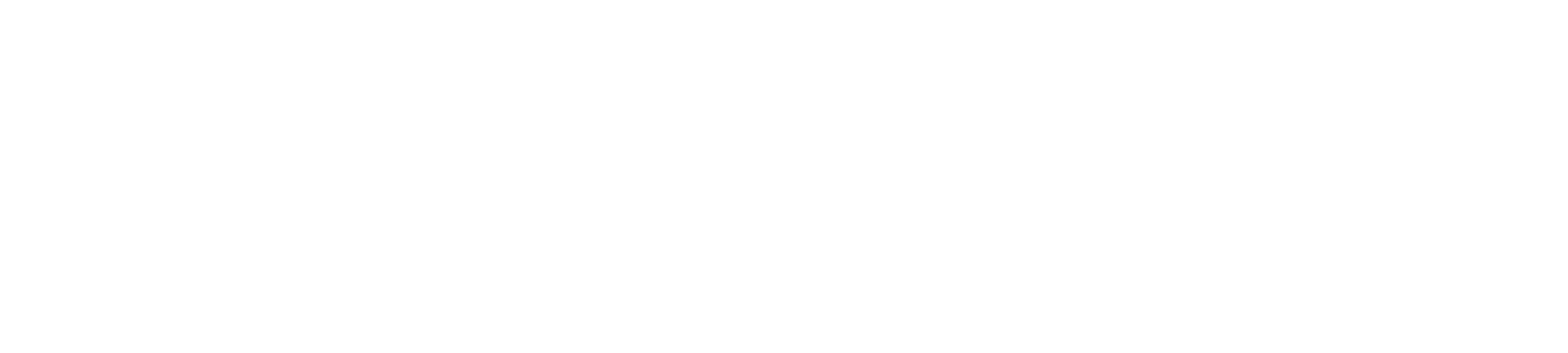 Snappers — AI security solutions